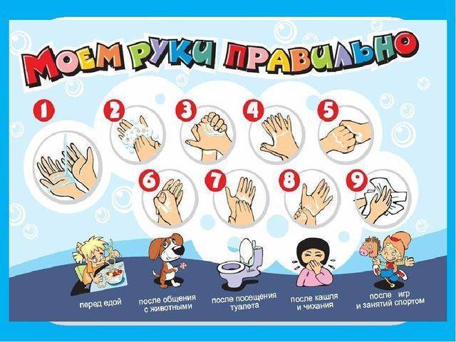 Руки или все о микробах