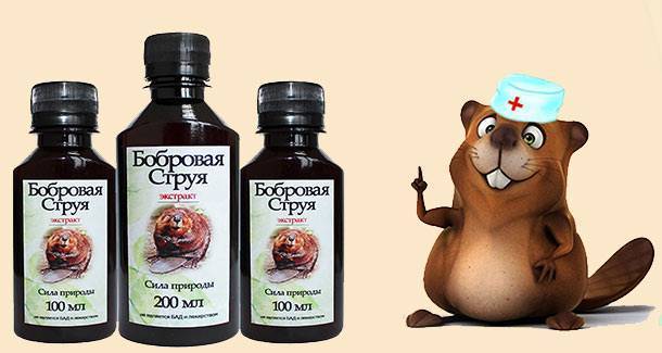 Барсучья струя - от чего помогает, как принимать