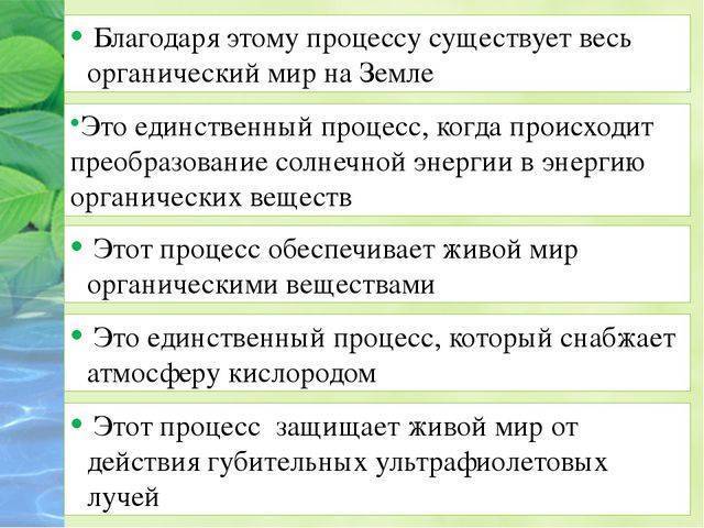 Хлоропласты