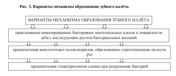 Число разных групп бактерий в природе