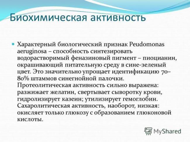 Синегнойная палочка: как передается, чем опасна, клиника, как лечить