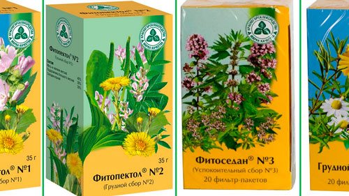 Подорожник — его лечебные свойства и применение в народной медицине
