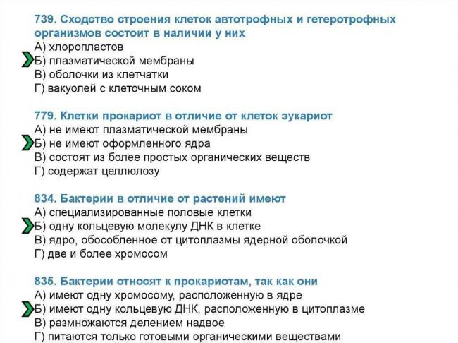 Различные стороны клеточного строения жизни на планете – бактерий, растений и животных
