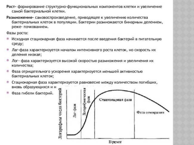 Анаэробные бактерии: понятие, особенность, классификация, культивирование