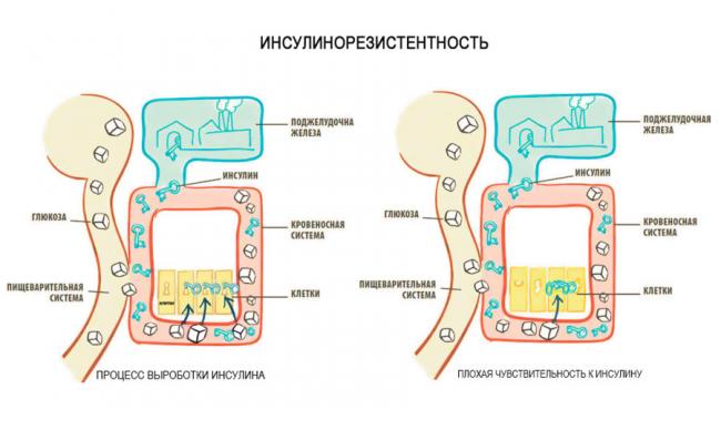 Диета при инсулинорезистентности. меню на каждый день. что можно, нельзя для снижения веса
