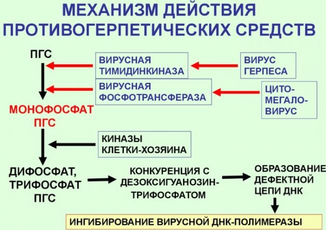 Специфика применения противовирусного препарата валацикловир на основании его свойств