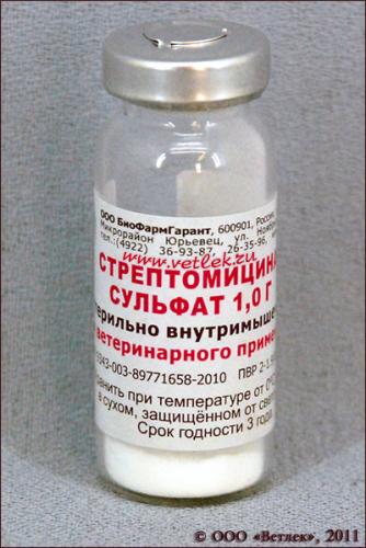 Стрептомицин: аналоги и замена, какие есть заменители