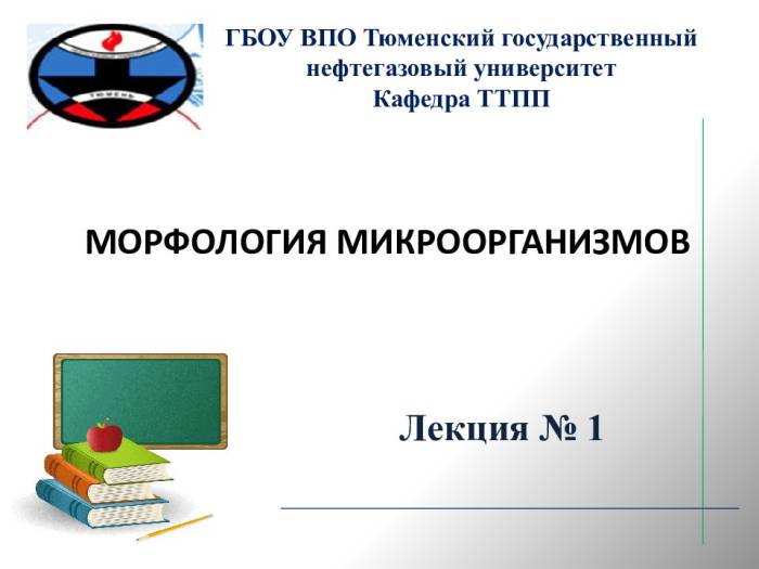 Кто они – бактерии и что представляют собой самые многочисленные жители нашей планеты?