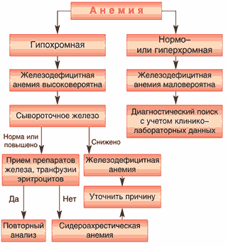 Гипохромная анемия: причины и симптомы, лечение и профилактика заболевания
