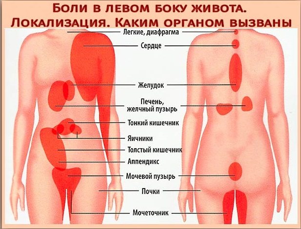 Причины боли в левом боку под ребрами