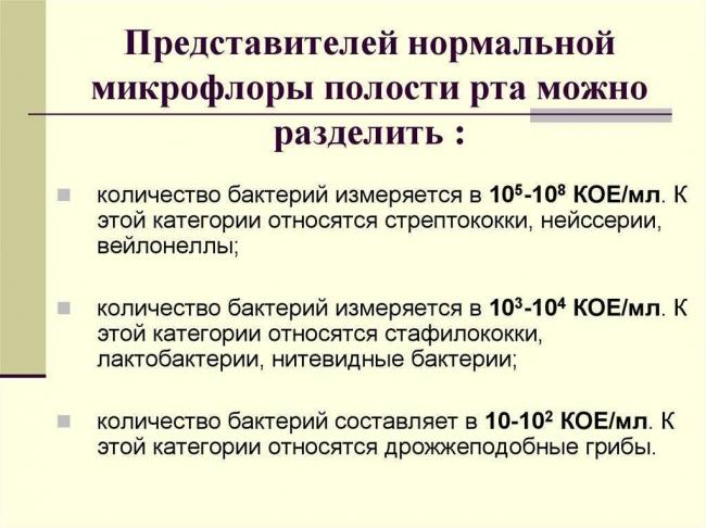 Болезнетворные бактерии: на коже, во рту, в кишечнике. фото грибков и бактерий