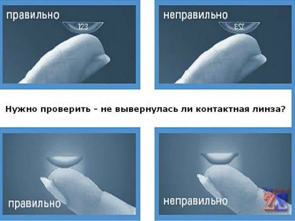 12 лучших контактных линз
