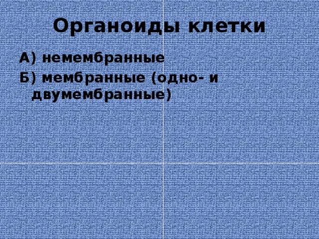 Значение пилей в жизни бактерий