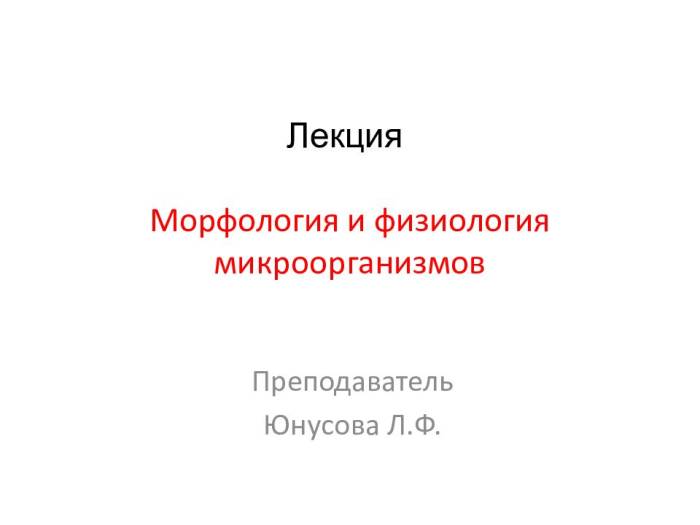Бактерии – это одноклеточные организмы - 11833-3