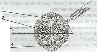 Каверджект
