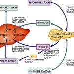 Как влияет инсулин на избыток сахара в печени?