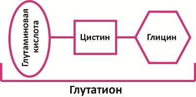 Элтацин - инструкция, показания, дозировки и аналоги, отзывы