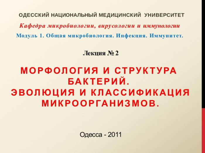 Биология: бактерии - представляют собой; многоклеточные ядерные организмы. одноклеточные ядерные...