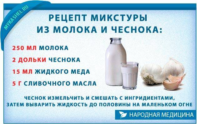 Чеснок в молоке от кашля