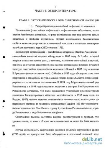 Синегнойная палочка. что это такое, лечение антибиотиками, народными средствами