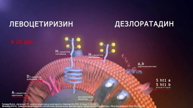 Применение теофиллина и возможные противопоказания