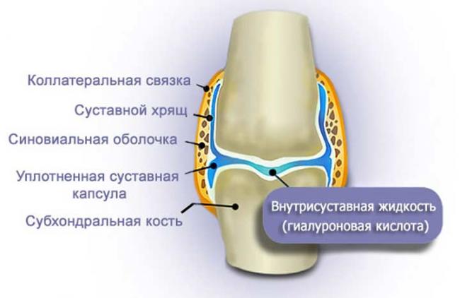 Остенил инструкция по применению цена отзывы аналоги
