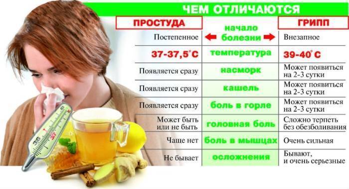 Амиксин: применение при гриппе и простуде