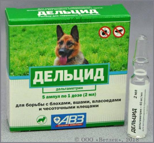 Акарицидные препараты от клещей – эффективная защита людей и растений от паразитов