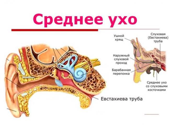 При простуде заболело ухо: причины и лечение