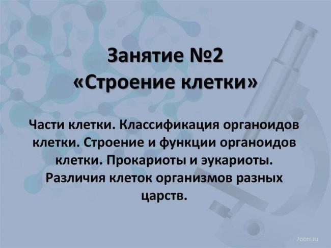 Определяющее значение ворсинок-фимбрий