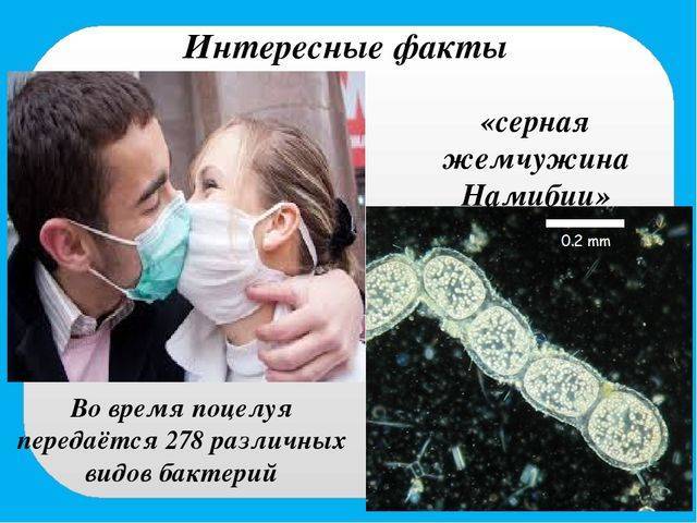 Противостояние бактерий на коже человека