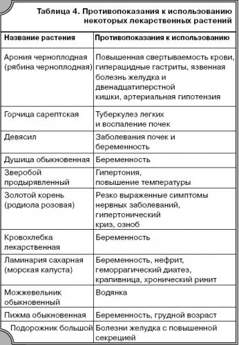 Подорожник с медом: лечебные свойства и противопоказания