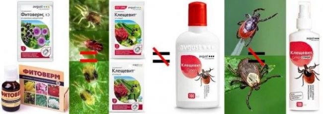 Как используются акарициды против клещей
