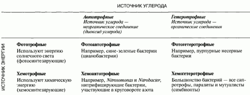 Какие бывают типы или виды бактерий и как их определить