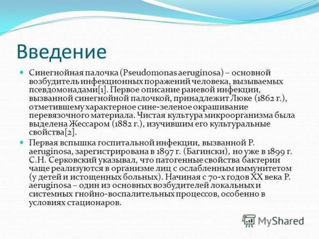 Синегнойная палочка