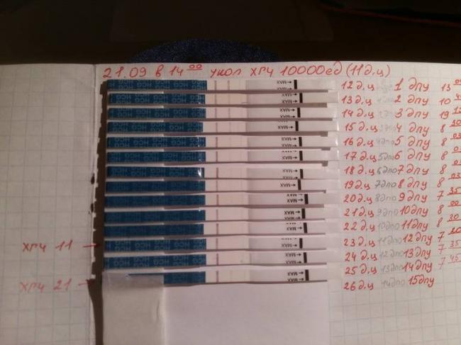 Прогинова+дюфастон=? - прогинова и дюфастон - запись пользователя екатерина (apple-82) в сообществе зачатие - babyblog.ru