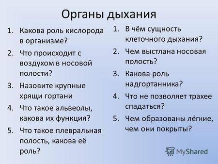 Что гемоглобин