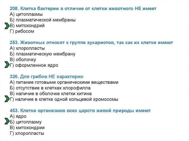 Какие сходства есть у клеток животных и бактерий