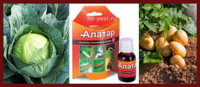 Препарат алатар применение отзывы