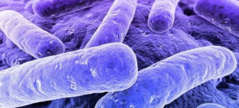Пробиотик lactobacillus rhamnosus: препарат с мощными преимуществами