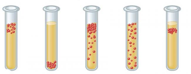 Царство архебактерии - archaebacteria