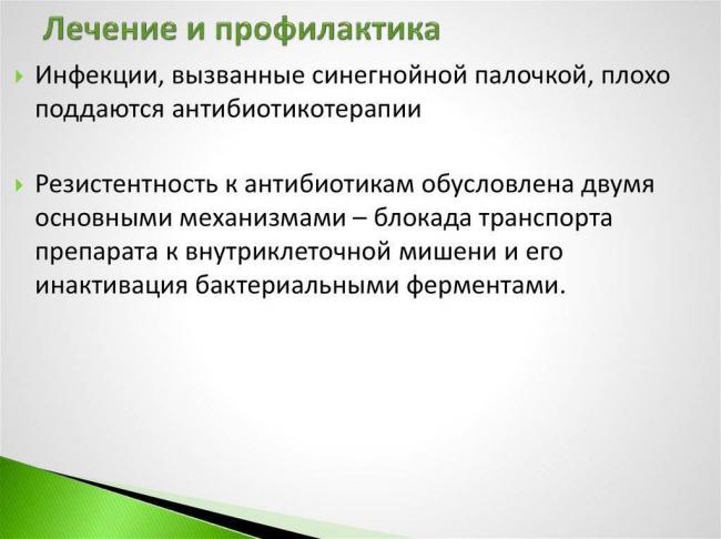 Синегнойная палочка как передается