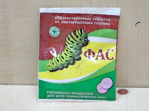 Акарициды – эффективные средства против клещей