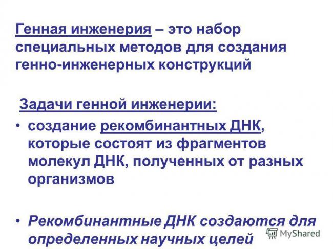 Методы и прикладное значение исследования генома бактерий