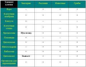 Лекция по теме морфология микроорганизмов