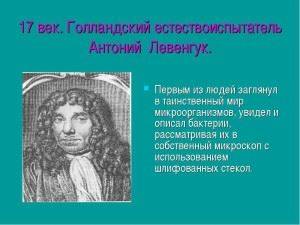 В чем главное отличие клетки бактерии от клетки животного или растения?