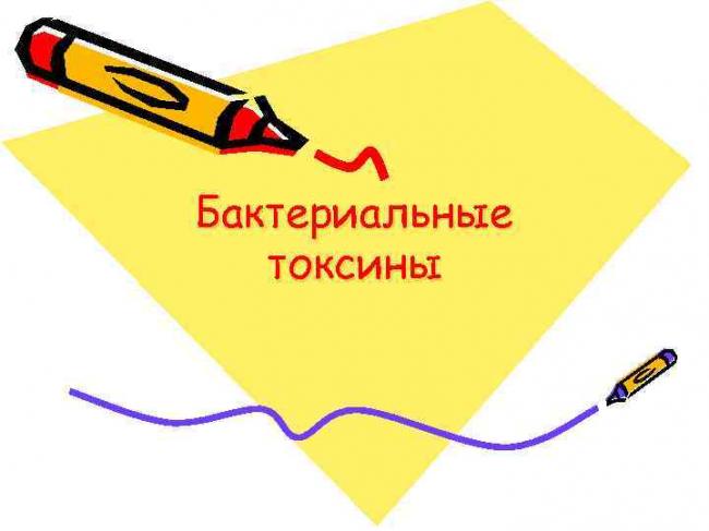 «все могут короли…», или многообразие бактериальных свойств