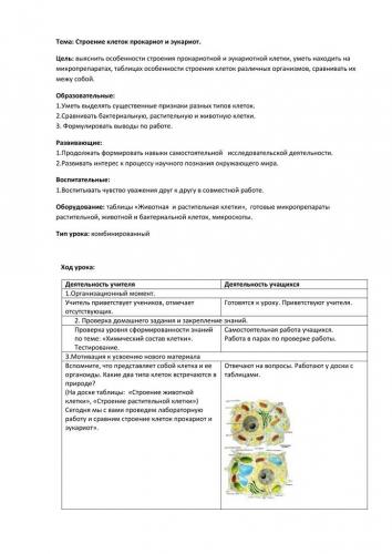 Секреты жизни в рибосомах бактерий