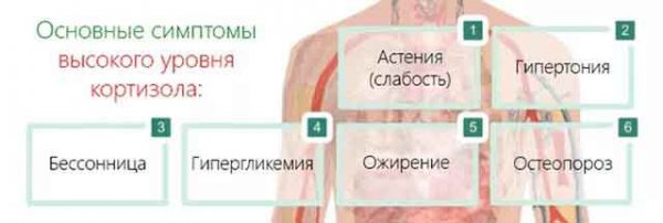 Как стресс влияет на организм