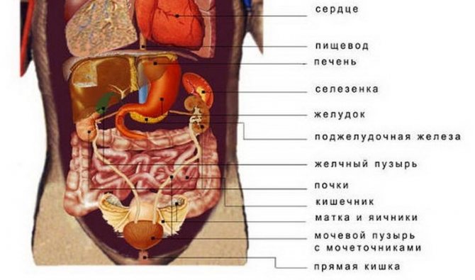 Боли в левом подреберье